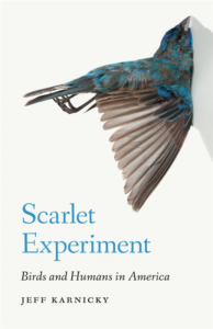 scarletexperiment