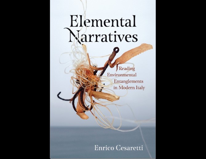 Book Cover: Elemental Narratives